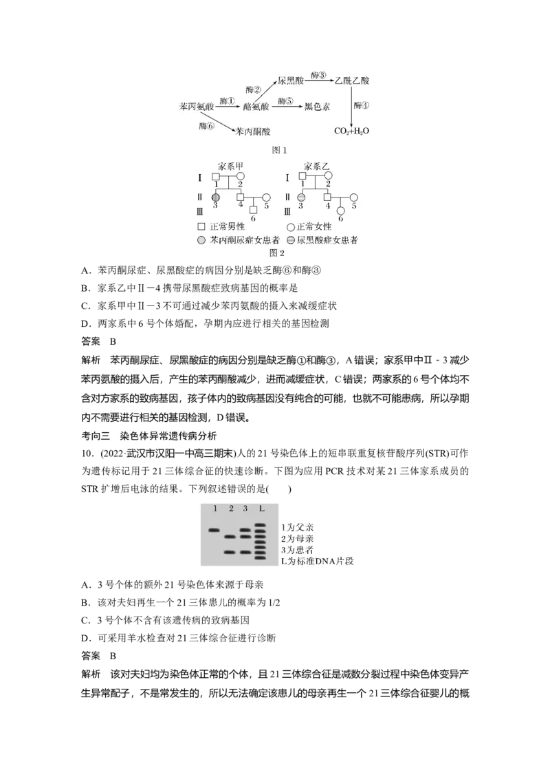 2023年高考生物一轮复习（全国版）第5单元第6课时　伴性遗传的特点与应用及人类遗传病_通用版（老高考）复习资料_2023年复习资料_一轮复习_2023年高考生物一轮复习讲义+课件（全国版）