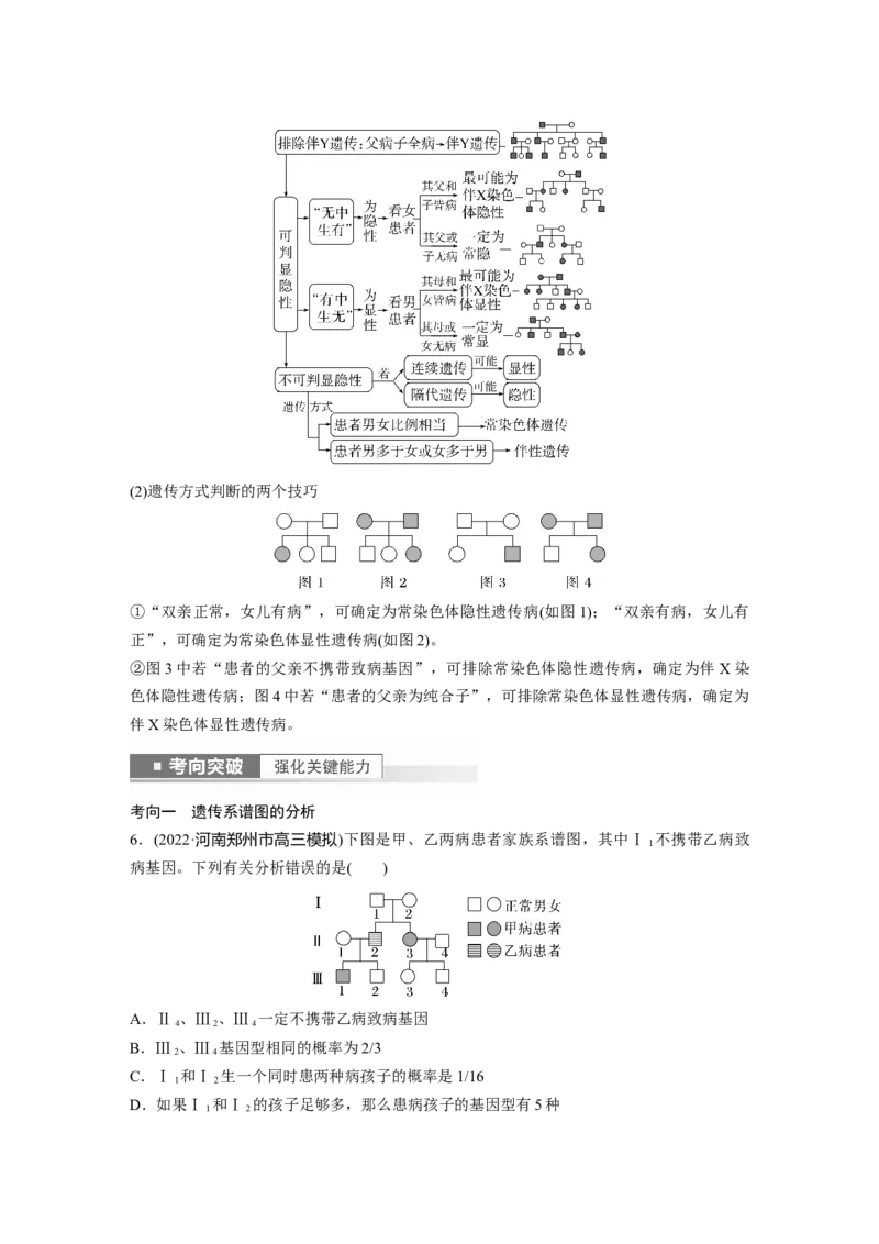 2023年高考生物一轮复习（全国版）第5单元第6课时　伴性遗传的特点与应用及人类遗传病_通用版（老高考）复习资料_2023年复习资料_一轮复习_2023年高考生物一轮复习讲义+课件（全国版）