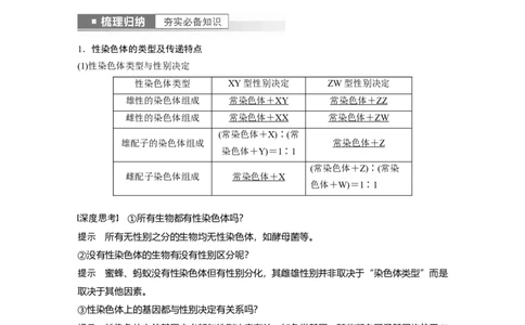 2023年高考生物一轮复习（全国版）第5单元第6课时　伴性遗传的特点与应用及人类遗传病_通用版（老高考）复习资料_2023年复习资料_一轮复习_2023年高考生物一轮复习讲义+课件（全国版）