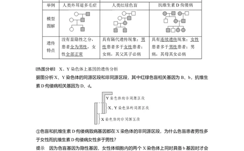 2023年高考生物一轮复习（全国版）第5单元第6课时　伴性遗传的特点与应用及人类遗传病_通用版（老高考）复习资料_2023年复习资料_一轮复习_2023年高考生物一轮复习讲义+课件（全国版）