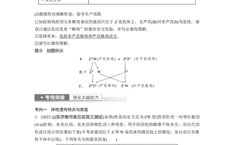 2023年高考生物一轮复习（全国版）第5单元第6课时　伴性遗传的特点与应用及人类遗传病_通用版（老高考）复习资料_2023年复习资料_一轮复习_2023年高考生物一轮复习讲义+课件（全国版）