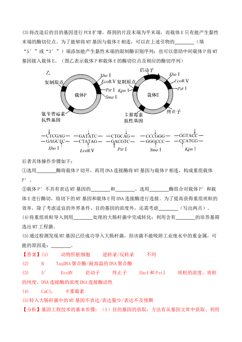 热点链接基因工程的相关热点（解析版）_2024年新高考资料_2.2024二轮复习_2024年高考生物二轮复习讲练测（新教材新高考）