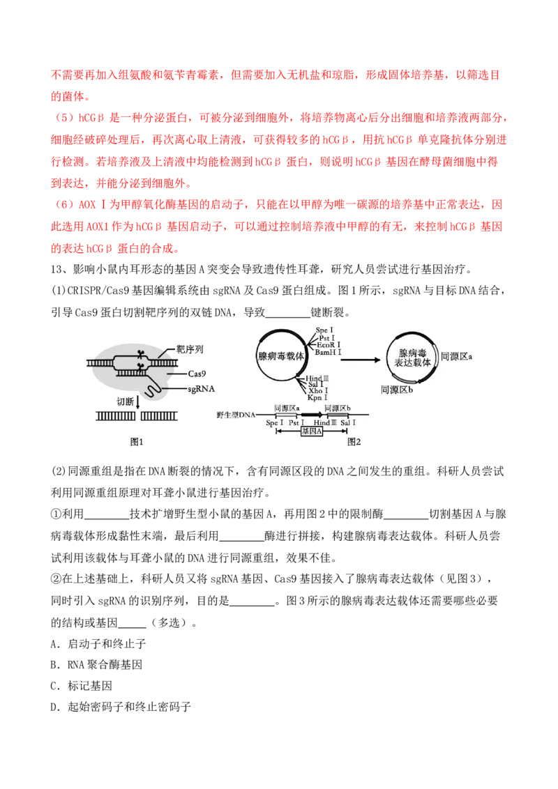 热点链接基因工程的相关热点（解析版）_2024年新高考资料_2.2024二轮复习_2024年高考生物二轮复习讲练测（新教材新高考）