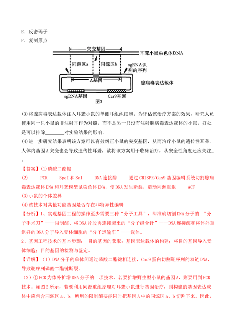 热点链接基因工程的相关热点（解析版）_2024年新高考资料_2.2024二轮复习_2024年高考生物二轮复习讲练测（新教材新高考）