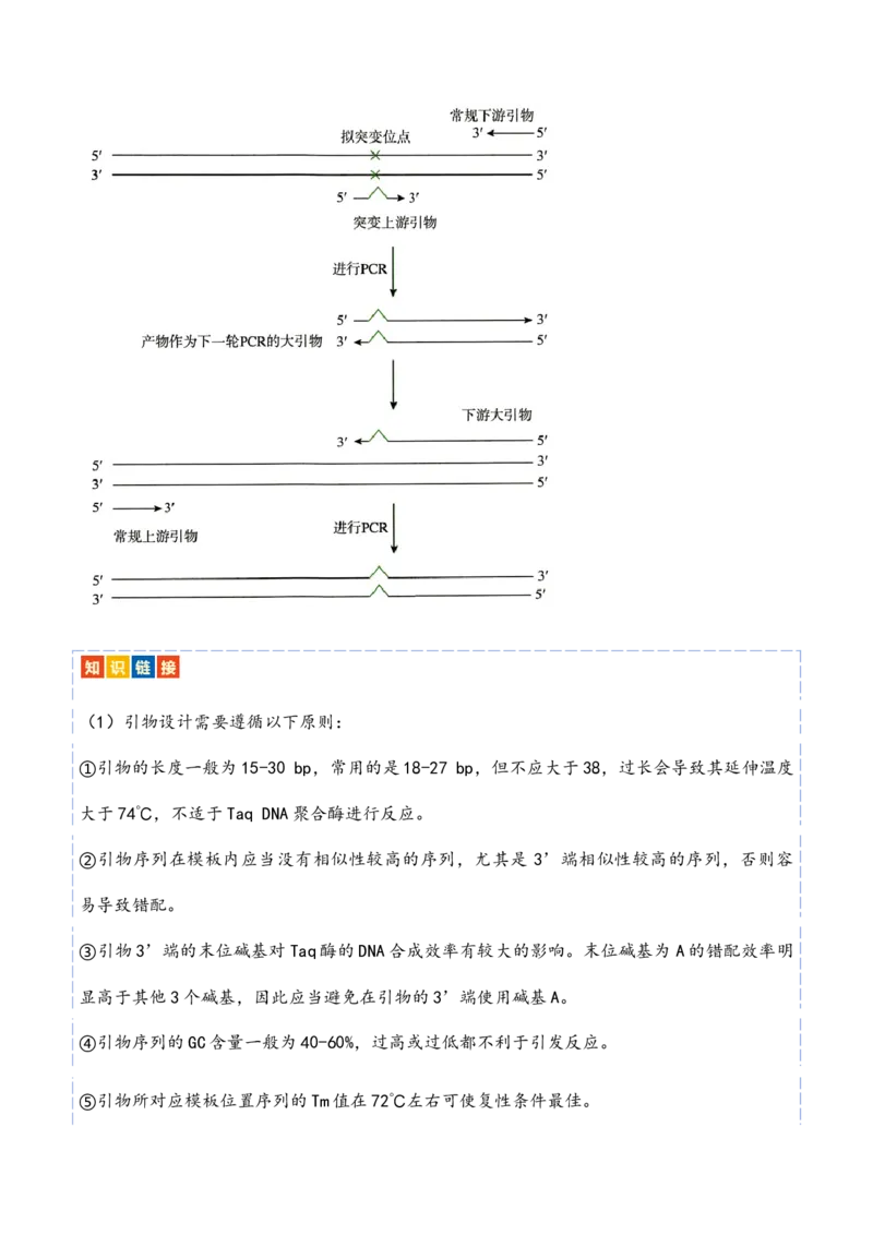 热点链接基因工程的相关热点（解析版）_2024年新高考资料_2.2024二轮复习_2024年高考生物二轮复习讲练测（新教材新高考）