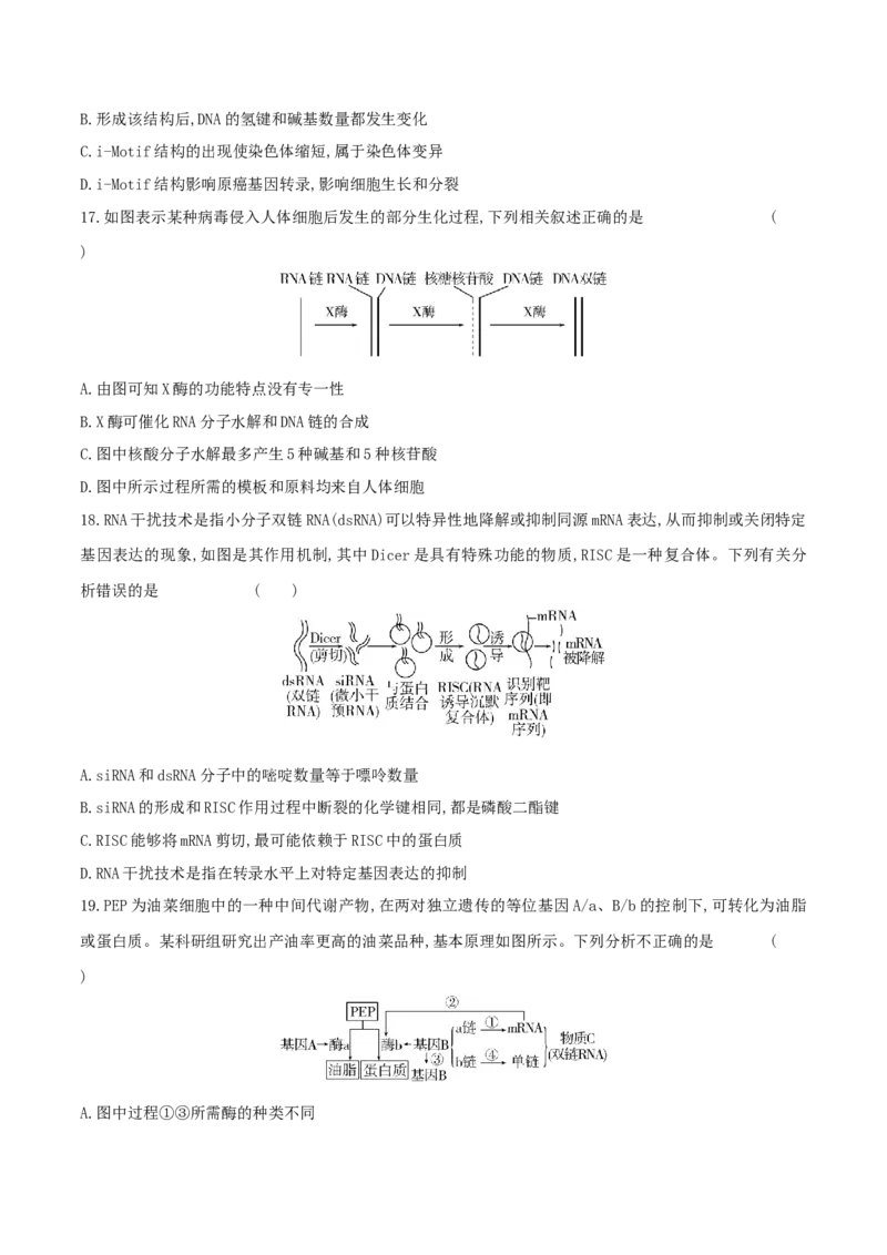 押题点10遗传的分子基础（原卷版）_2024年新高考资料_5.2024三轮冲刺_备战2024年高考生物临考题号押题（辽宁、黑龙江、吉林专用）322857720