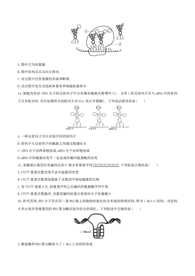 押题点10遗传的分子基础（原卷版）_2024年新高考资料_5.2024三轮冲刺_备战2024年高考生物临考题号押题（辽宁、黑龙江、吉林专用）322857720