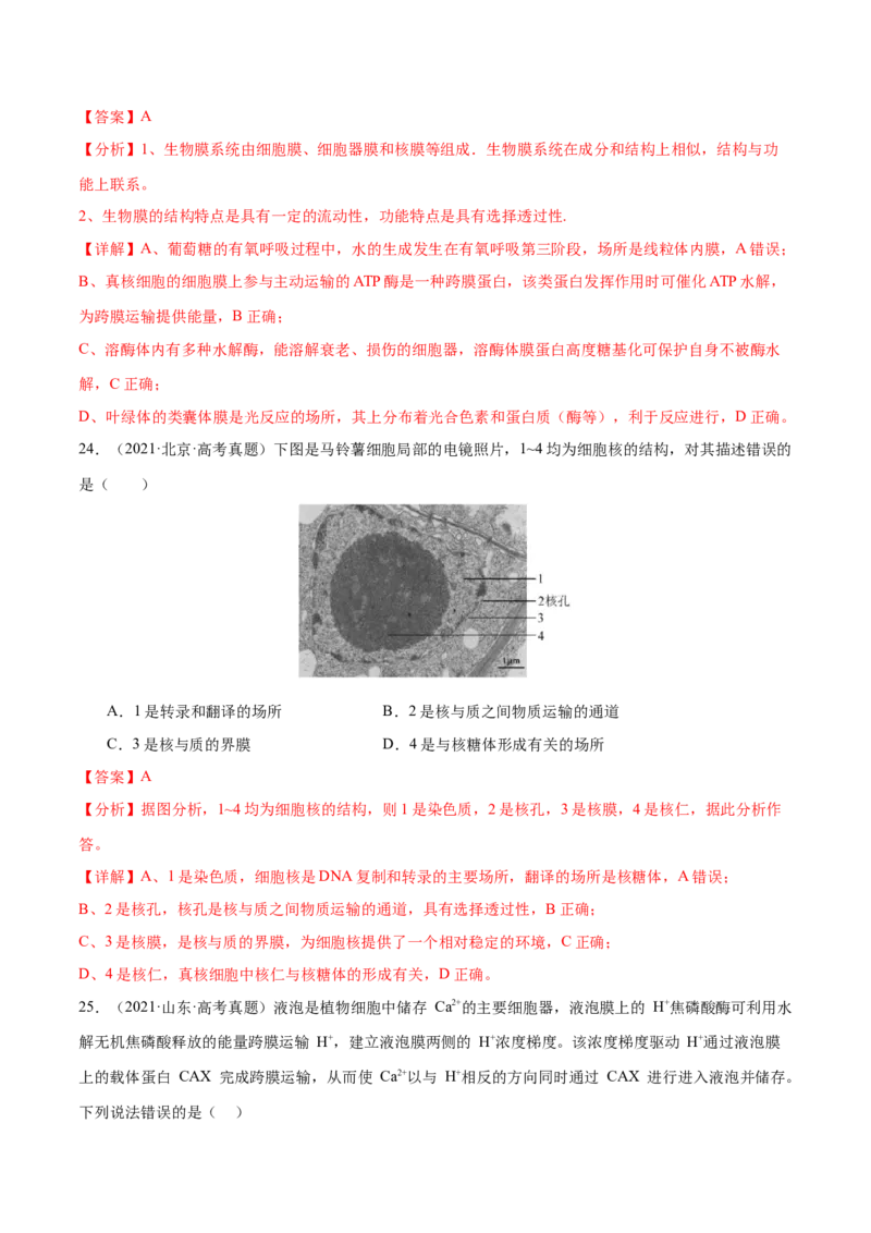 押新高考卷细胞的结构与物质进出细胞的方式（解析版）-备战2024年高考生物临考题号押题（新高考通用）_2024年新高考资料_5.2024三轮冲刺_押单项选择题