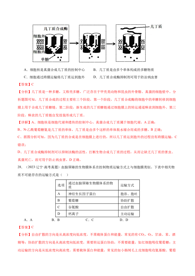 押新高考卷细胞的结构与物质进出细胞的方式（解析版）-备战2024年高考生物临考题号押题（新高考通用）_2024年新高考资料_5.2024三轮冲刺_押单项选择题