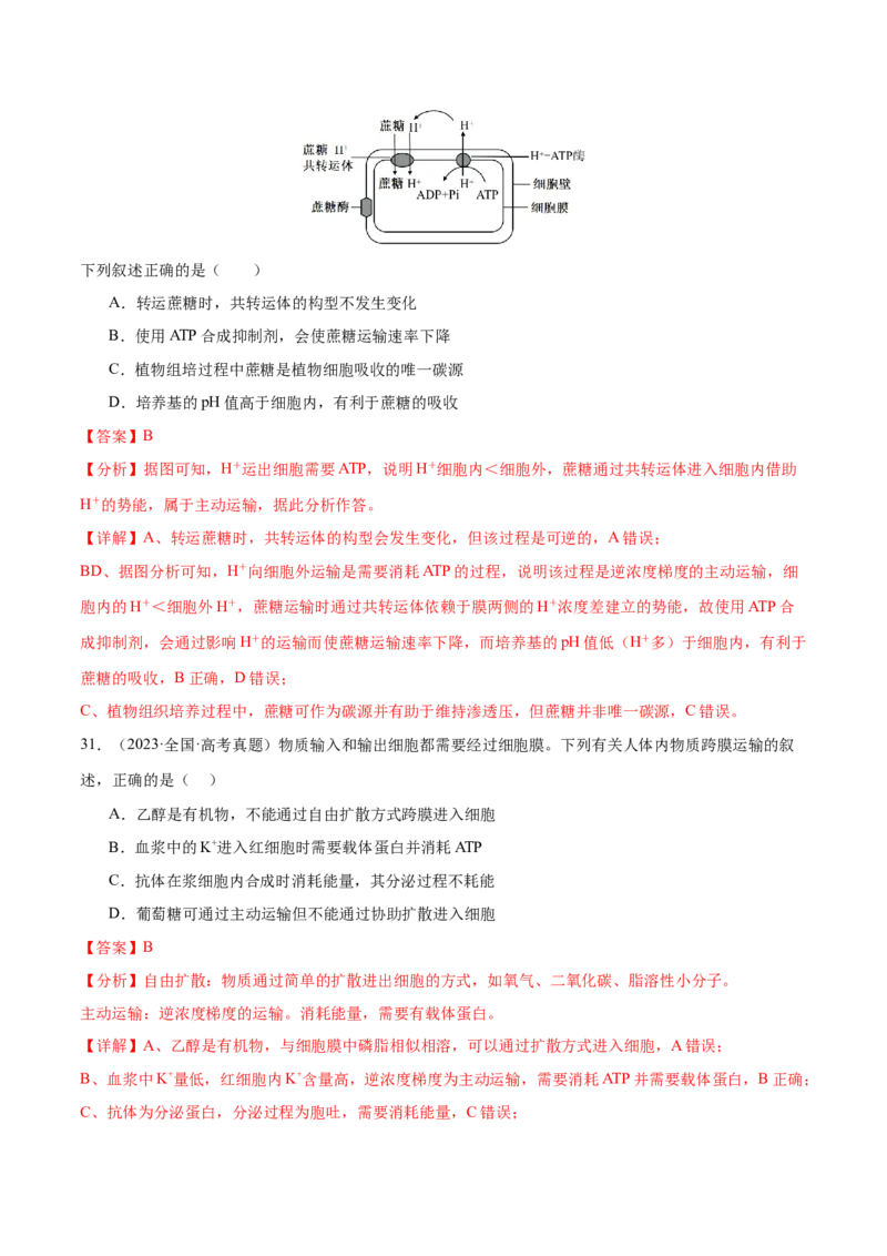 押新高考卷细胞的结构与物质进出细胞的方式（解析版）-备战2024年高考生物临考题号押题（新高考通用）_2024年新高考资料_5.2024三轮冲刺_押单项选择题