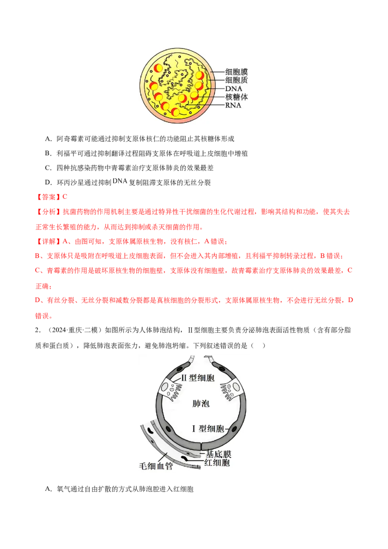 押新高考卷细胞的结构与物质进出细胞的方式（解析版）-备战2024年高考生物临考题号押题（新高考通用）_2024年新高考资料_5.2024三轮冲刺_押单项选择题