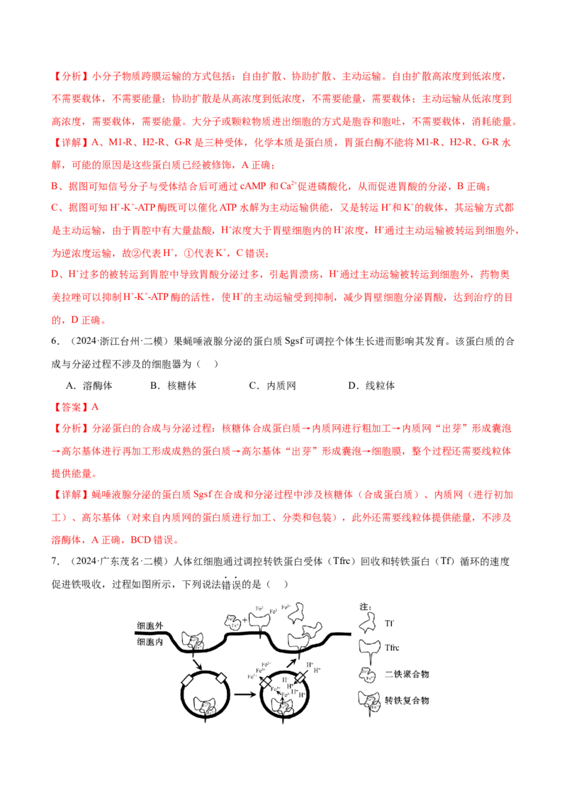押新高考卷细胞的结构与物质进出细胞的方式（解析版）-备战2024年高考生物临考题号押题（新高考通用）_2024年新高考资料_5.2024三轮冲刺_押单项选择题