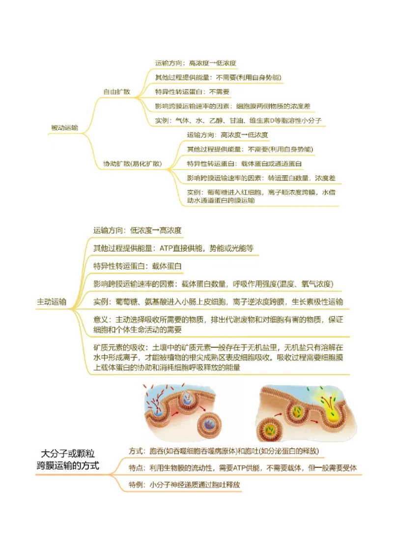 押新高考卷细胞的结构与物质进出细胞的方式（解析版）-备战2024年高考生物临考题号押题（新高考通用）_2024年新高考资料_5.2024三轮冲刺_押单项选择题