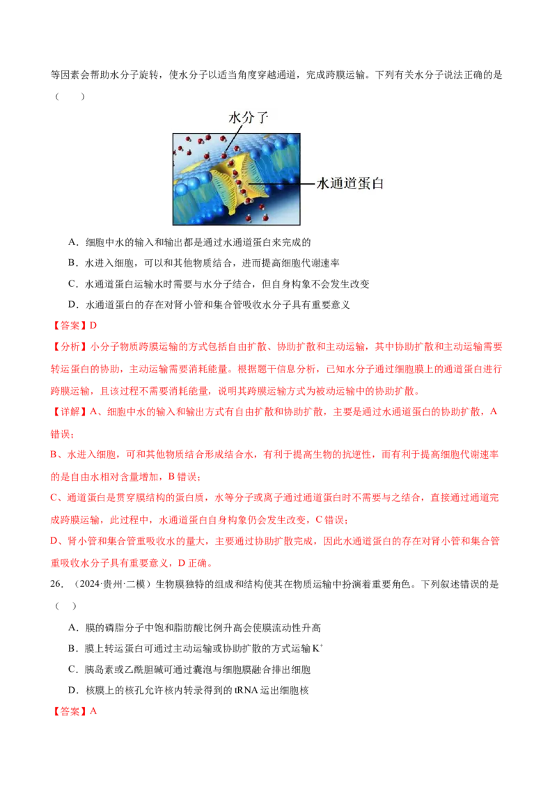 押新高考卷细胞的结构与物质进出细胞的方式（解析版）-备战2024年高考生物临考题号押题（新高考通用）_2024年新高考资料_5.2024三轮冲刺_押单项选择题