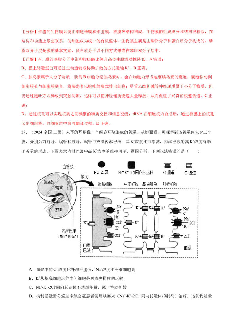 押新高考卷细胞的结构与物质进出细胞的方式（解析版）-备战2024年高考生物临考题号押题（新高考通用）_2024年新高考资料_5.2024三轮冲刺_押单项选择题