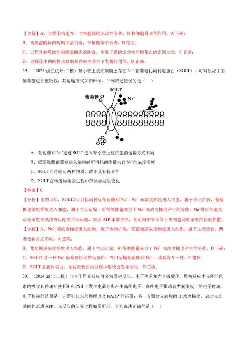 押新高考卷细胞的结构与物质进出细胞的方式（解析版）-备战2024年高考生物临考题号押题（新高考通用）_2024年新高考资料_5.2024三轮冲刺_押单项选择题