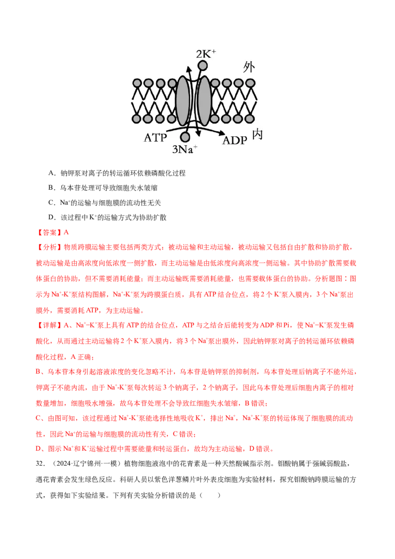 押新高考卷细胞的结构与物质进出细胞的方式（解析版）-备战2024年高考生物临考题号押题（新高考通用）_2024年新高考资料_5.2024三轮冲刺_押单项选择题
