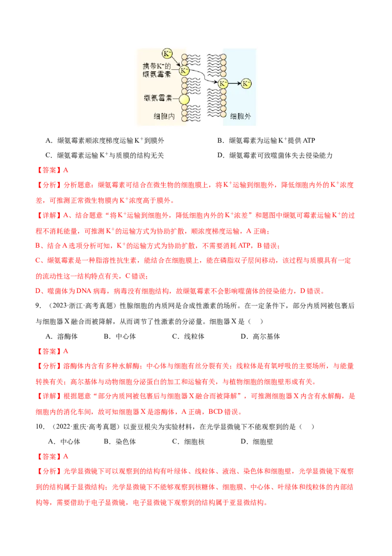 押新高考卷细胞的结构与物质进出细胞的方式（解析版）-备战2024年高考生物临考题号押题（新高考通用）_2024年新高考资料_5.2024三轮冲刺_押单项选择题