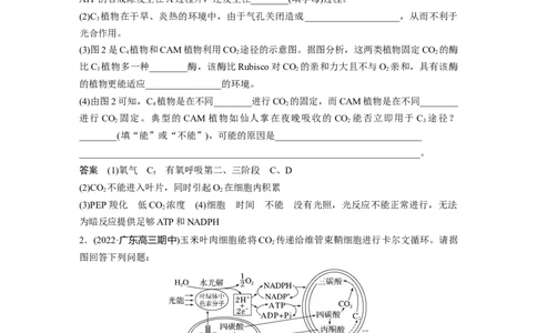 2023年高考生物一轮复习（全国版）第3单元解惑练1　C3植物、C4植物和CAM植物_通用版（老高考）复习资料_2023年复习资料_一轮复习_2023年高考生物一轮复习讲义+课件（全国版）