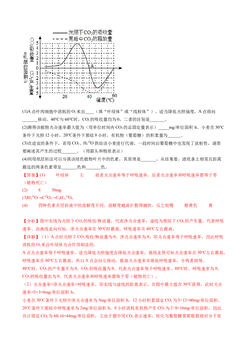 第10.2讲光合作用的影响因素和应用（练习）（解析版）_2024年新高考资料_1.2024一轮复习_2024年高考生物一轮复习讲练测（新教材新高考）