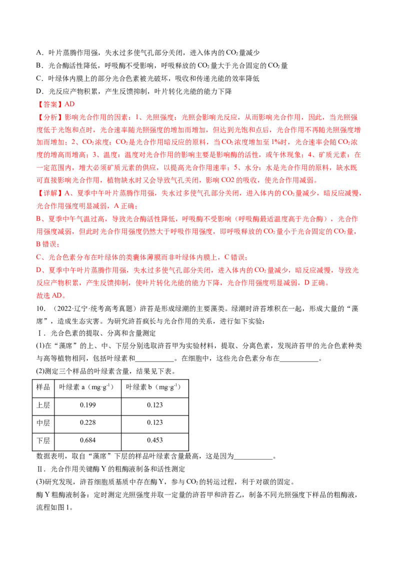 第10.2讲光合作用的影响因素和应用（练习）（解析版）_2024年新高考资料_1.2024一轮复习_2024年高考生物一轮复习讲练测（新教材新高考）