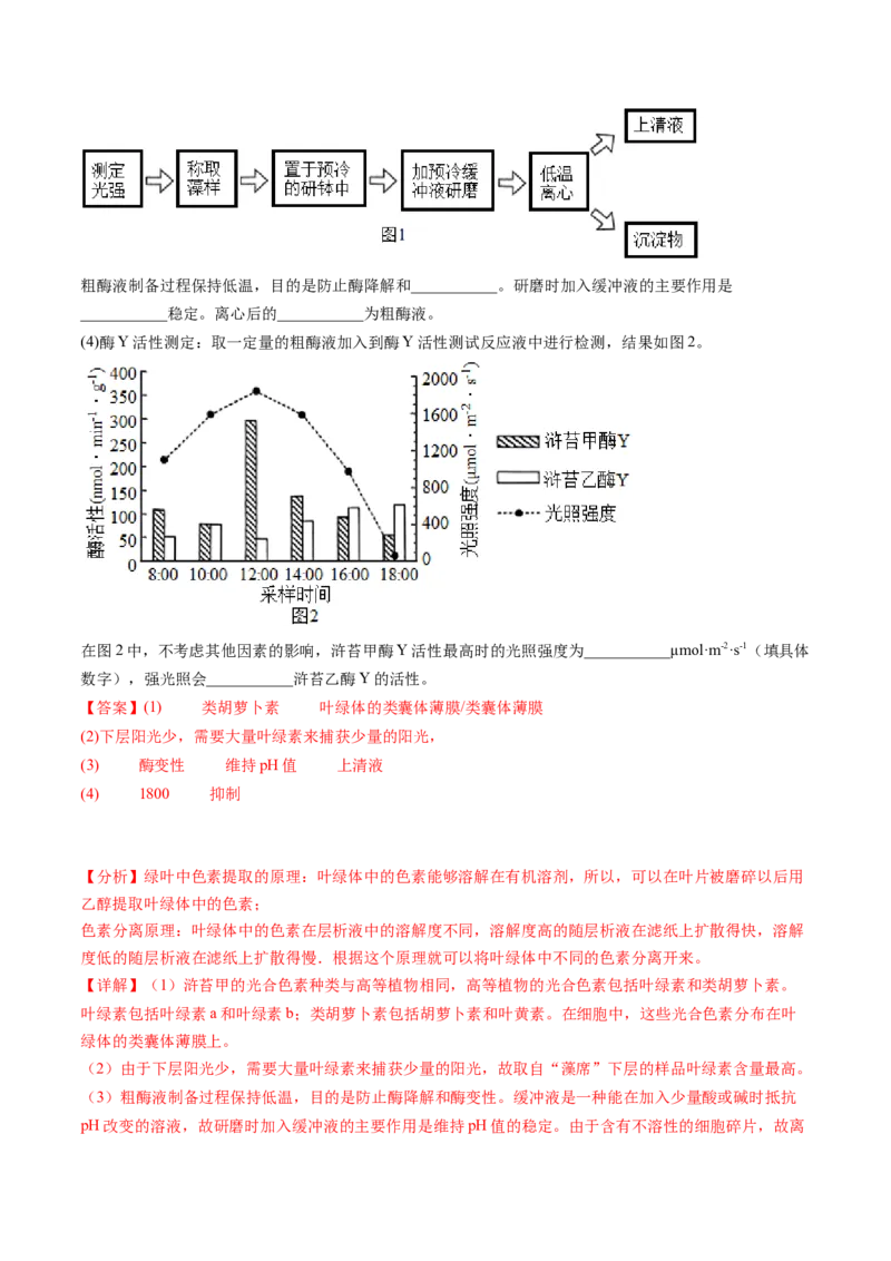 第10.2讲光合作用的影响因素和应用（练习）（解析版）_2024年新高考资料_1.2024一轮复习_2024年高考生物一轮复习讲练测（新教材新高考）