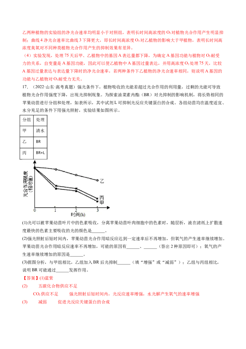第10.2讲光合作用的影响因素和应用（练习）（解析版）_2024年新高考资料_1.2024一轮复习_2024年高考生物一轮复习讲练测（新教材新高考）