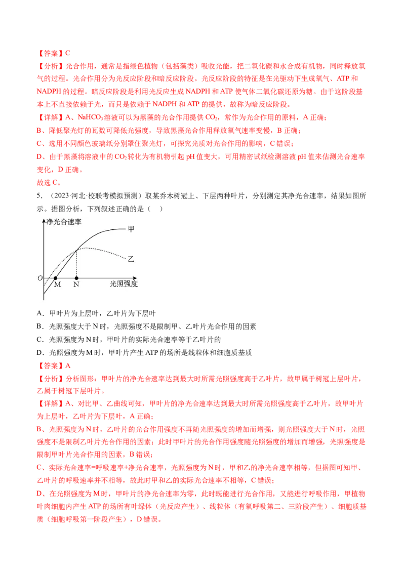 第10.2讲光合作用的影响因素和应用（练习）（解析版）_2024年新高考资料_1.2024一轮复习_2024年高考生物一轮复习讲练测（新教材新高考）