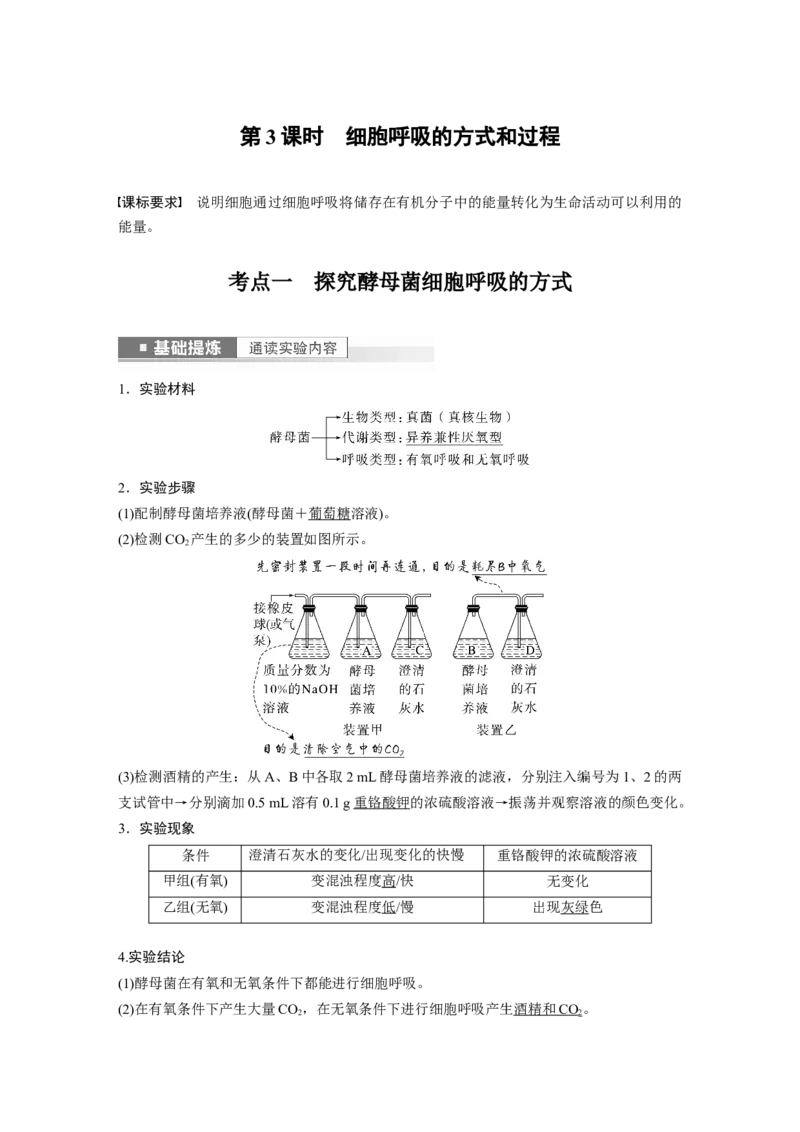 2023年高考生物一轮复习（新人教新高考）第3单元第3课时　细胞呼吸的方式和过程_新高考复习资料_2023年新高考复习资料_一轮复习_2023年新高考大一轮复习讲义