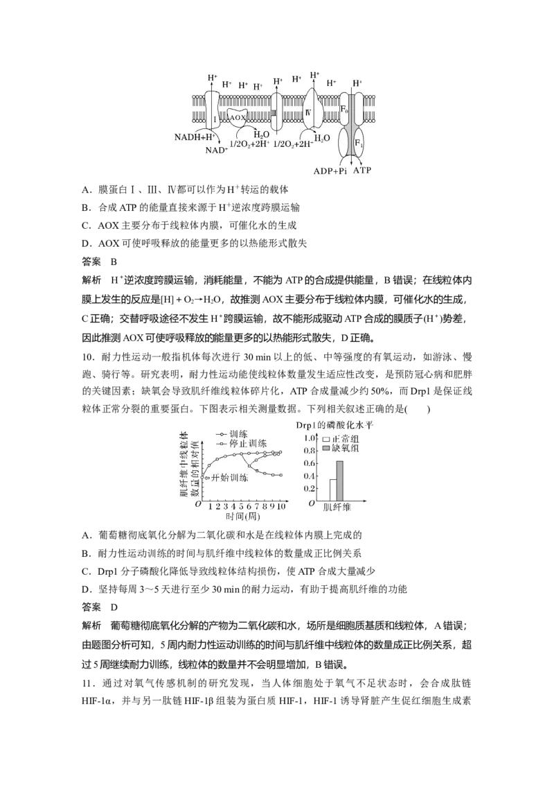 2023年高考生物一轮复习（新人教新高考）第3单元第3课时　细胞呼吸的方式和过程_新高考复习资料_2023年新高考复习资料_一轮复习_2023年新高考大一轮复习讲义