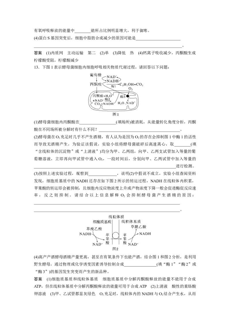 2023年高考生物一轮复习（新人教新高考）第3单元第3课时　细胞呼吸的方式和过程_新高考复习资料_2023年新高考复习资料_一轮复习_2023年新高考大一轮复习讲义