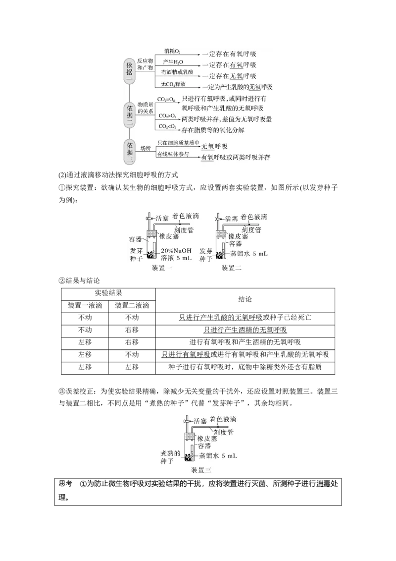 2023年高考生物一轮复习（新人教新高考）第3单元第3课时　细胞呼吸的方式和过程_新高考复习资料_2023年新高考复习资料_一轮复习_2023年新高考大一轮复习讲义