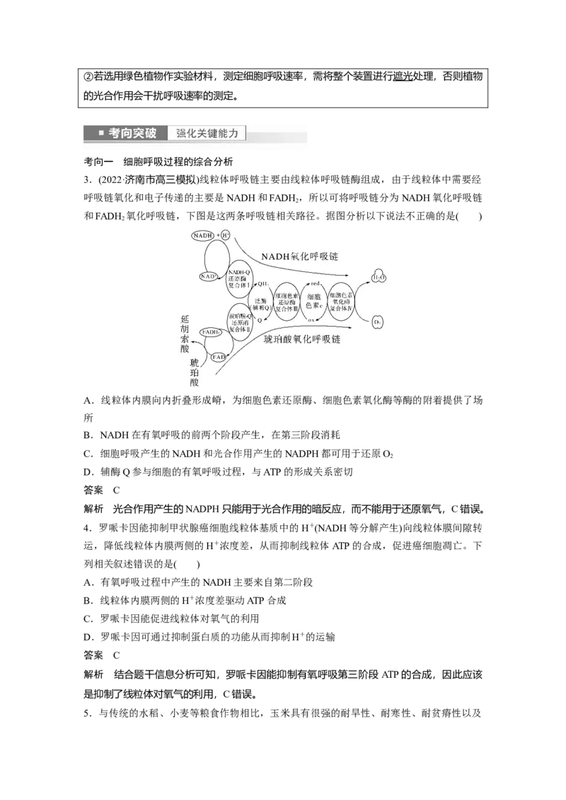 2023年高考生物一轮复习（新人教新高考）第3单元第3课时　细胞呼吸的方式和过程_新高考复习资料_2023年新高考复习资料_一轮复习_2023年新高考大一轮复习讲义