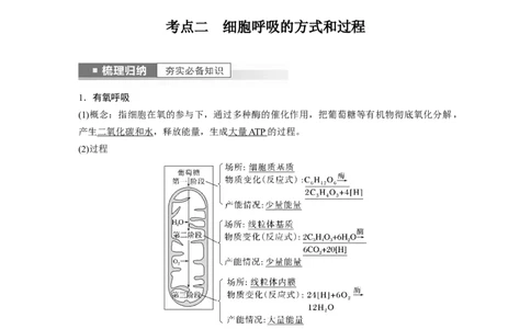 2023年高考生物一轮复习（新人教新高考）第3单元第3课时　细胞呼吸的方式和过程_新高考复习资料_2023年新高考复习资料_一轮复习_2023年新高考大一轮复习讲义