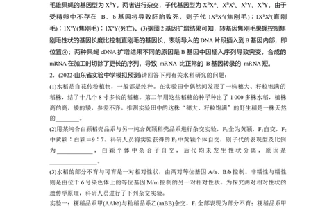 2023年高考生物二轮复习（全国版）第1篇专题突破专题4重难大题集训(二)　遗传规律的推理和判断_通用版（老高考）复习资料_2023年复习资料_二轮复习