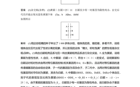 2023年高考生物二轮复习（全国版）第1篇专题突破专题4重难大题集训(二)　遗传规律的推理和判断_通用版（老高考）复习资料_2023年复习资料_二轮复习