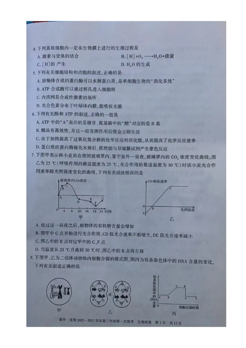 2023届新疆维吾尔自治区高三年级第一次联考生物（试卷）_生物高考模拟题_老高考_2023年_新疆维吾尔自治区慕华&middot;优策2022-2023学年高三上学期第一次联考生物试题