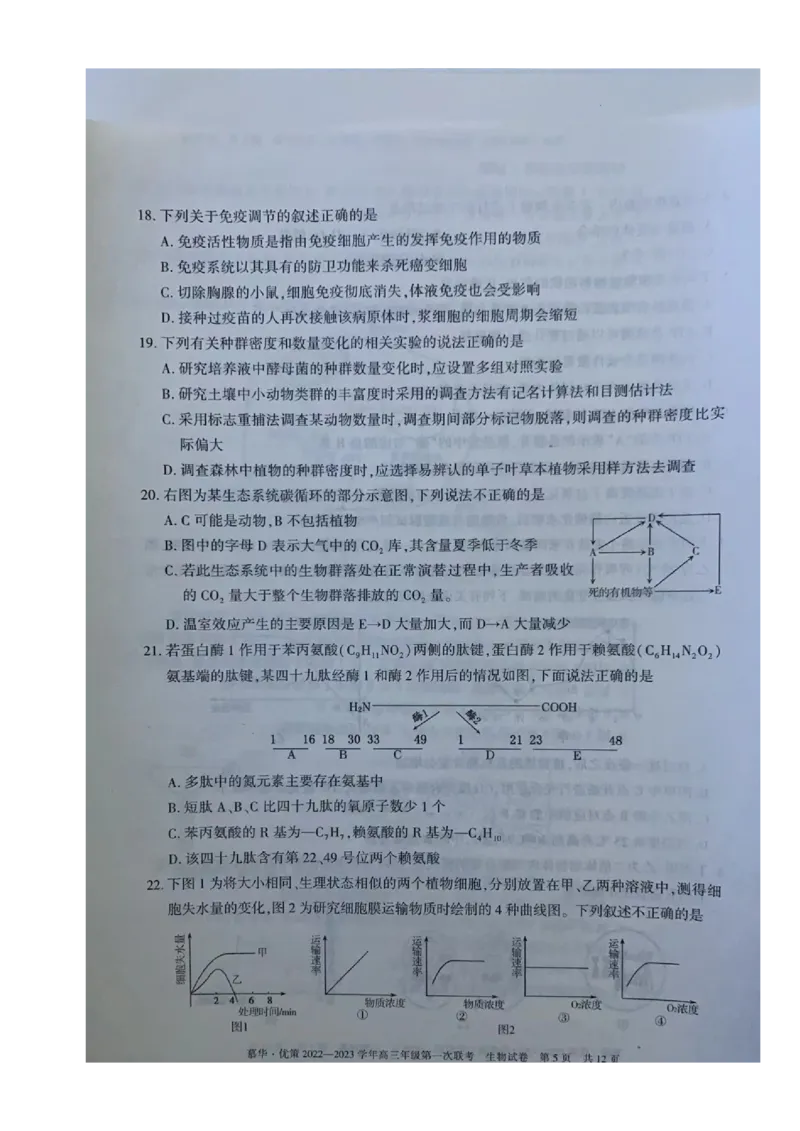 2023届新疆维吾尔自治区高三年级第一次联考生物（试卷）_生物高考模拟题_老高考_2023年_新疆维吾尔自治区慕华&middot;优策2022-2023学年高三上学期第一次联考生物试题