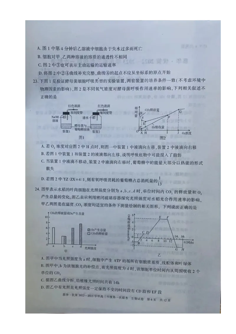 2023届新疆维吾尔自治区高三年级第一次联考生物（试卷）_生物高考模拟题_老高考_2023年_新疆维吾尔自治区慕华&middot;优策2022-2023学年高三上学期第一次联考生物试题