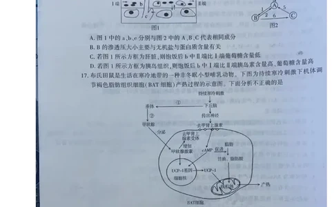 2023届新疆维吾尔自治区高三年级第一次联考生物（试卷）_生物高考模拟题_老高考_2023年_新疆维吾尔自治区慕华&middot;优策2022-2023学年高三上学期第一次联考生物试题