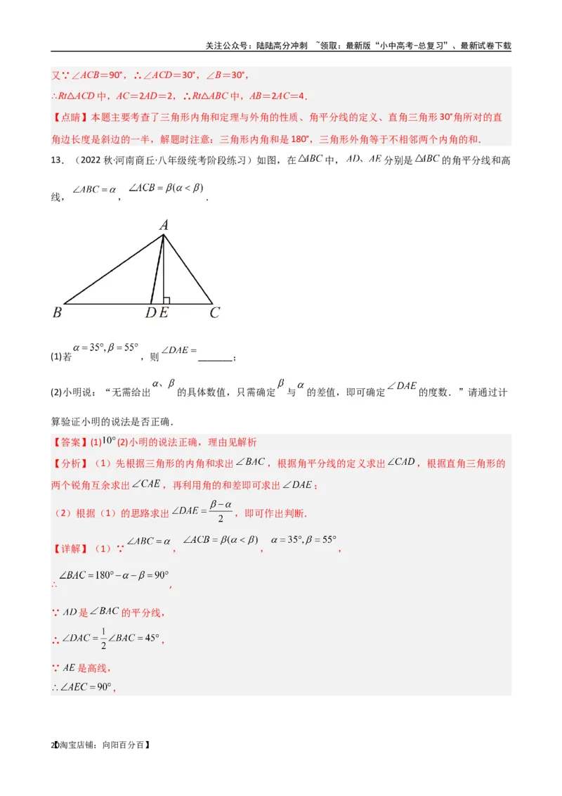 专题04三角形中的倒角模型-高分线模型、双（三）垂直模型（解析版）_02中考总复习（2026版更新中）_02-数学-中考总复习_2024年中考复习资料_专项复习资料_答案解析版