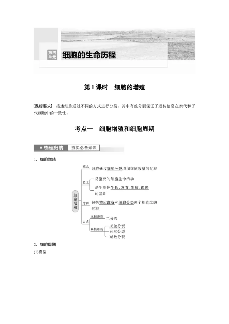 2023年高考生物一轮复习（新人教新高考）第4单元第1课时　细胞的增殖_新高考复习资料_2023年新高考复习资料_一轮复习_2023年新高考大一轮复习讲义