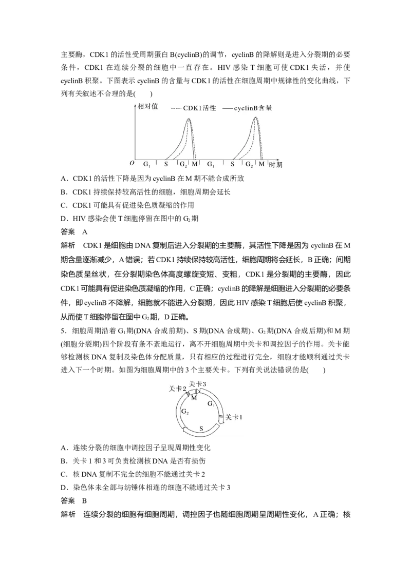 2023年高考生物一轮复习（新人教新高考）第4单元第1课时　细胞的增殖_新高考复习资料_2023年新高考复习资料_一轮复习_2023年新高考大一轮复习讲义
