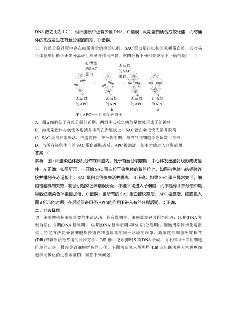 2023年高考生物一轮复习（新人教新高考）第4单元第1课时　细胞的增殖_新高考复习资料_2023年新高考复习资料_一轮复习_2023年新高考大一轮复习讲义