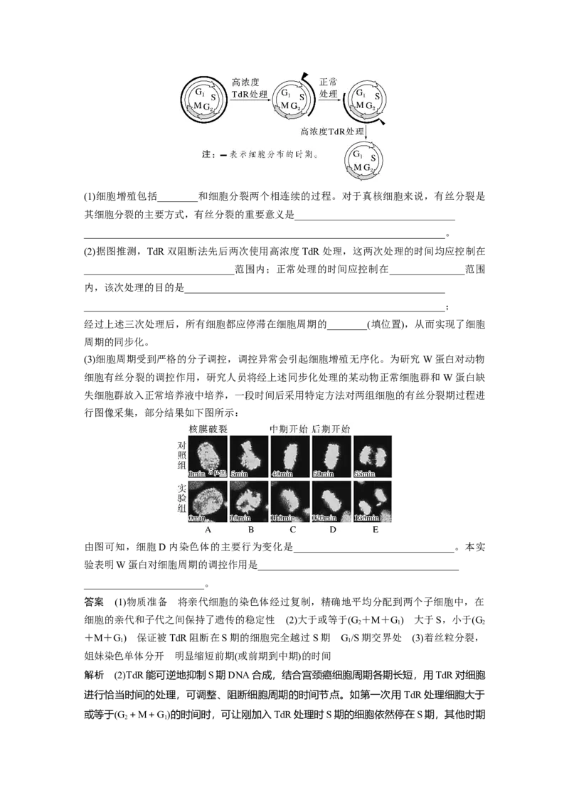 2023年高考生物一轮复习（新人教新高考）第4单元第1课时　细胞的增殖_新高考复习资料_2023年新高考复习资料_一轮复习_2023年新高考大一轮复习讲义