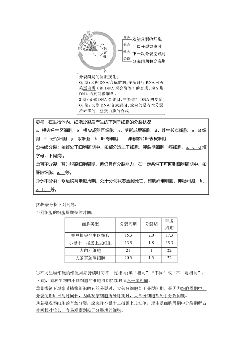 2023年高考生物一轮复习（新人教新高考）第4单元第1课时　细胞的增殖_新高考复习资料_2023年新高考复习资料_一轮复习_2023年新高考大一轮复习讲义