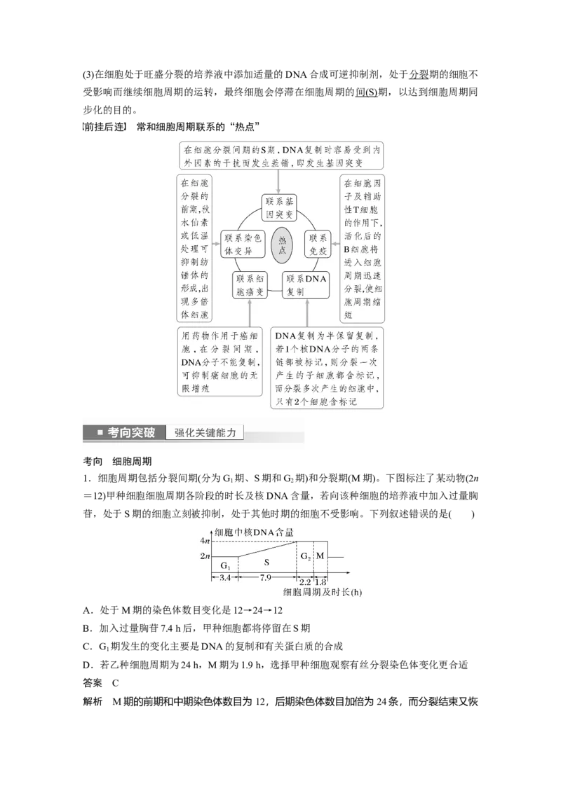 2023年高考生物一轮复习（新人教新高考）第4单元第1课时　细胞的增殖_新高考复习资料_2023年新高考复习资料_一轮复习_2023年新高考大一轮复习讲义