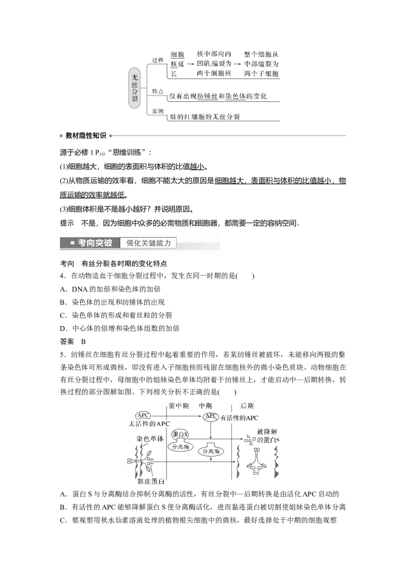 2023年高考生物一轮复习（新人教新高考）第4单元第1课时　细胞的增殖_新高考复习资料_2023年新高考复习资料_一轮复习_2023年新高考大一轮复习讲义