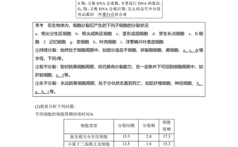 2023年高考生物一轮复习（新人教新高考）第4单元第1课时　细胞的增殖_新高考复习资料_2023年新高考复习资料_一轮复习_2023年新高考大一轮复习讲义