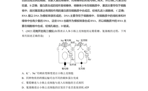 2023年高考生物二轮复习（全国版）第1篇专题突破专题1专题强化练_通用版（老高考）复习资料_2023年复习资料_二轮复习_2023年高考生物二轮复习讲义+课件（全国版）